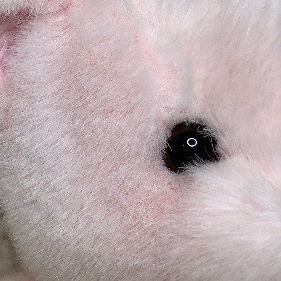 Sugarplum Pink Plush Teddy Bear with Rattle Stuffed Animal - Picture 5 of 10